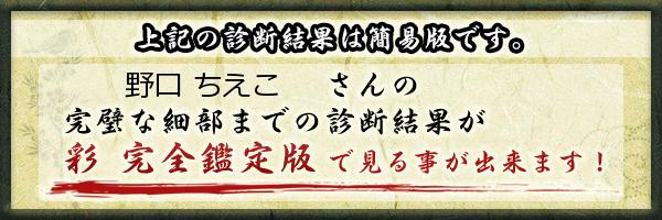 野口 ちえこさんの診断結果 姓名判断 彩