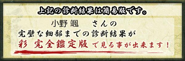小野 颯さんの診断結果 姓名判断 彩