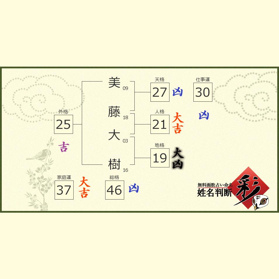 美藤 大樹さんの診断結果 姓名判断 彩