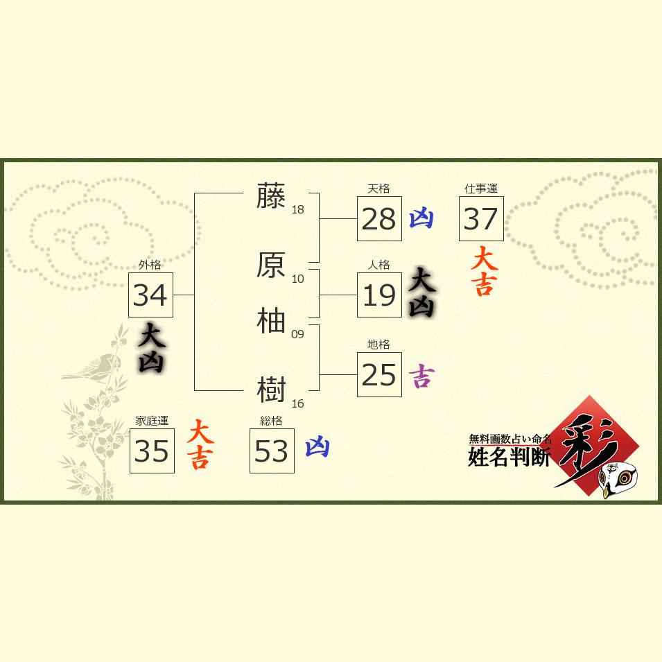 藤原 柚樹さんの診断結果 姓名判断 彩