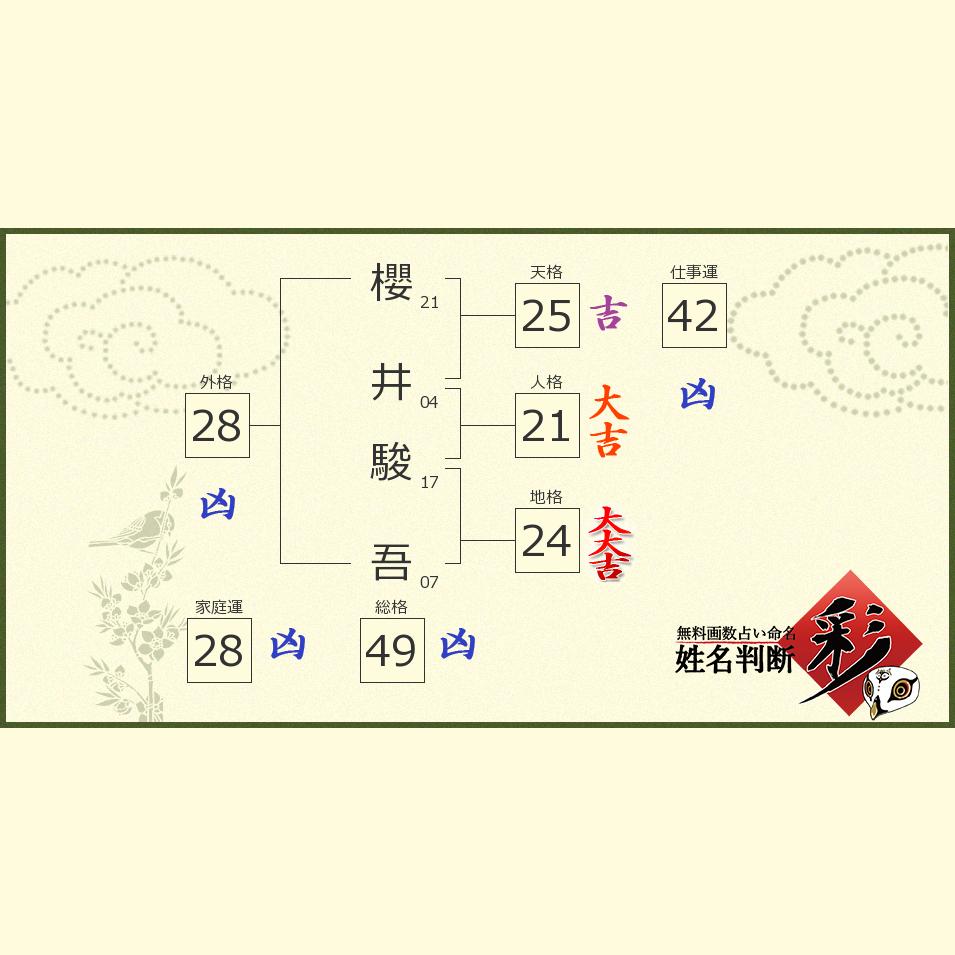 櫻井 駿吾さんの診断結果 姓名判断 彩