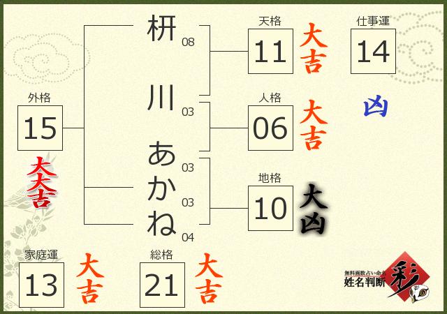 診断結果画像