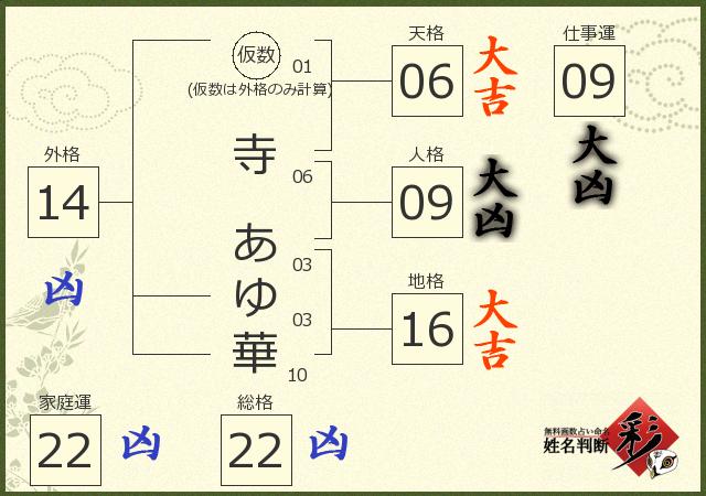 診断結果画像