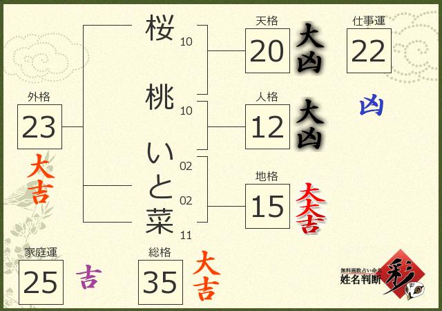 診断結果画像