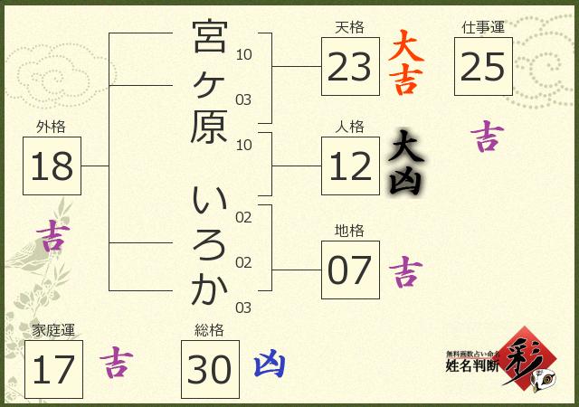 診断結果画像