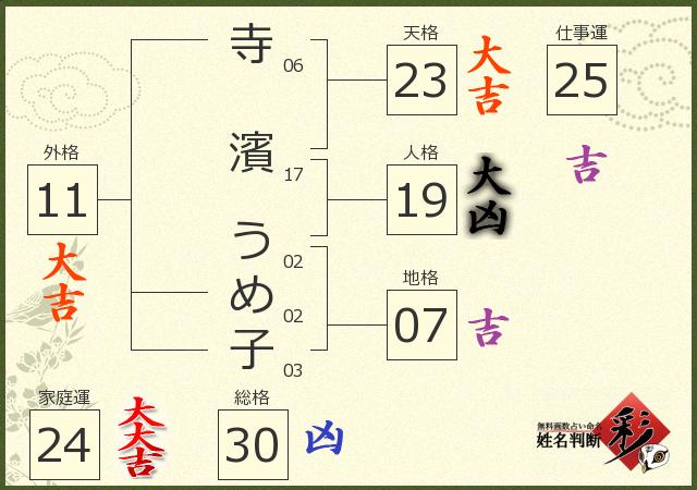 診断結果画像