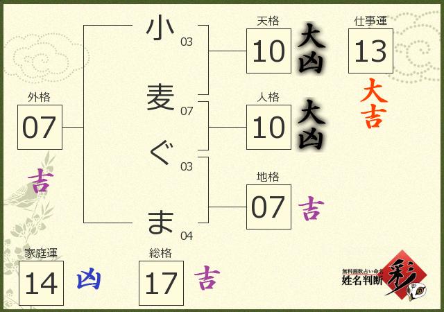 診断結果画像