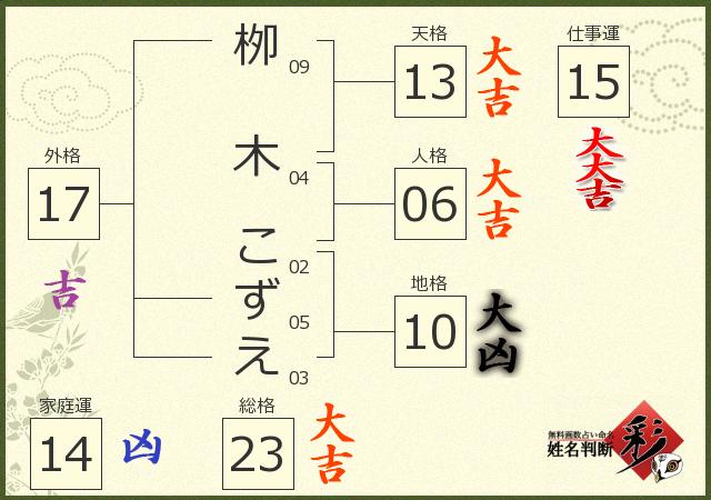 診断結果画像
