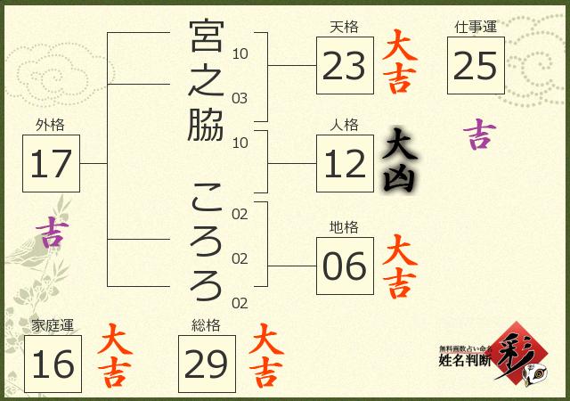 診断結果画像
