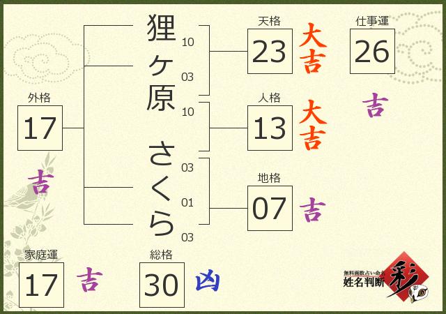 診断結果画像