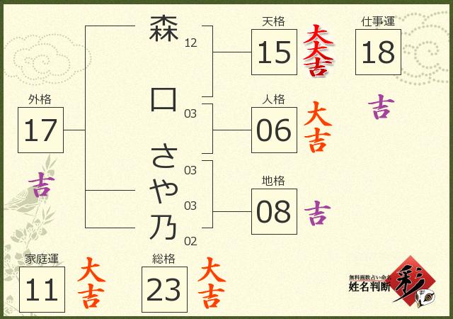 診断結果画像