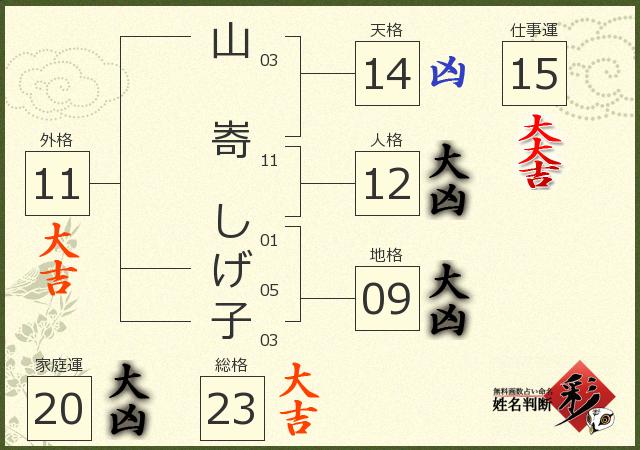 診断結果画像