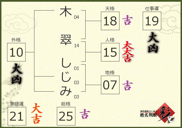 診断結果画像