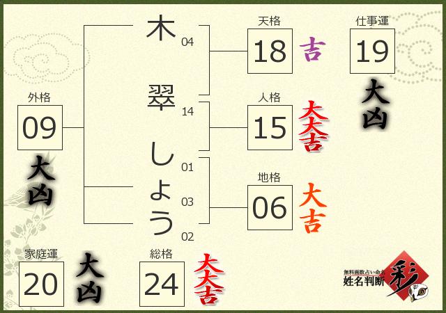 診断結果画像