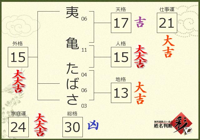 診断結果画像
