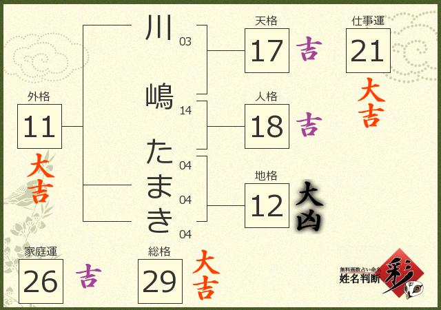 診断結果画像