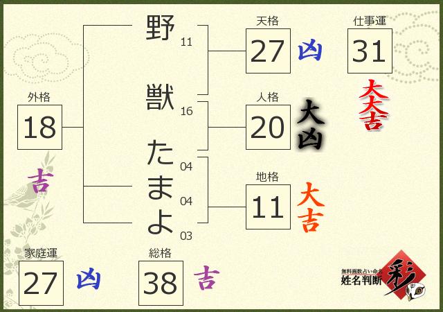 診断結果画像