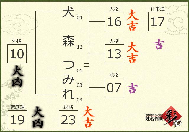 診断結果画像