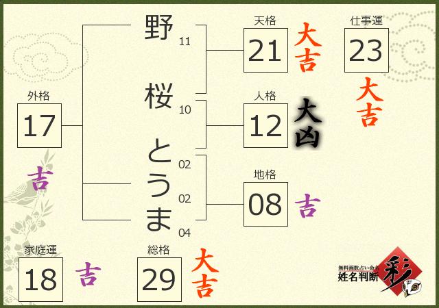 診断結果画像