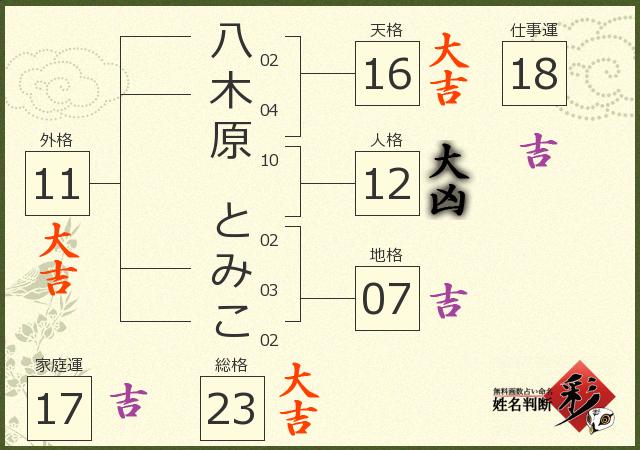 診断結果画像