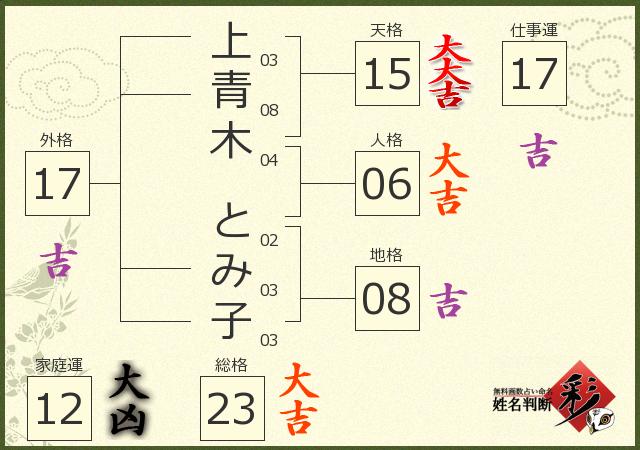 診断結果画像