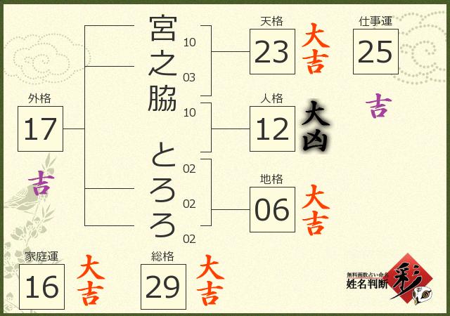 診断結果画像