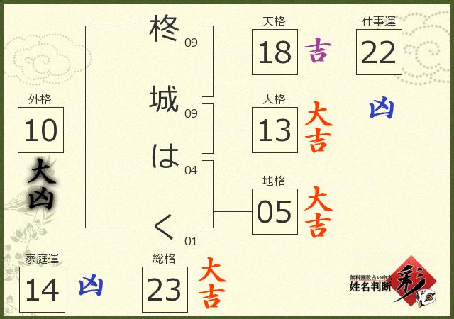 診断結果画像
