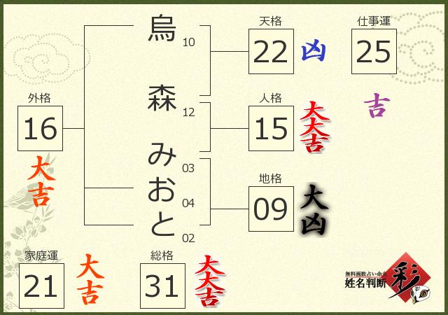 診断結果画像