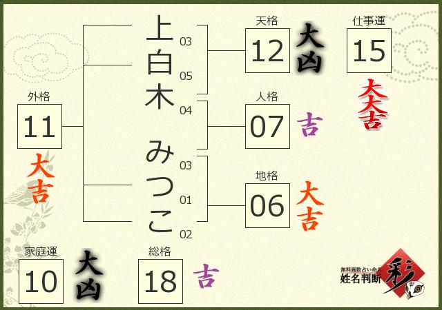 診断結果画像