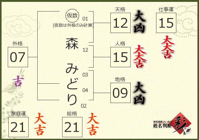 診断結果画像