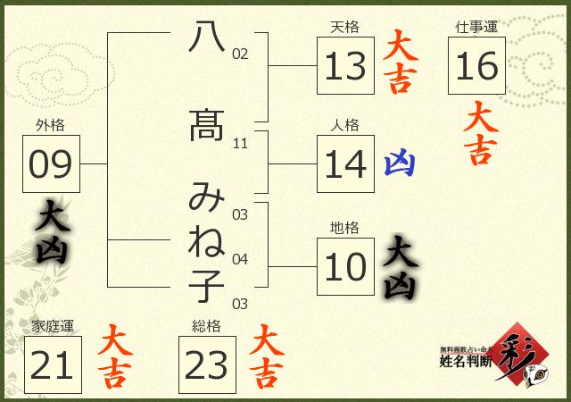 診断結果画像