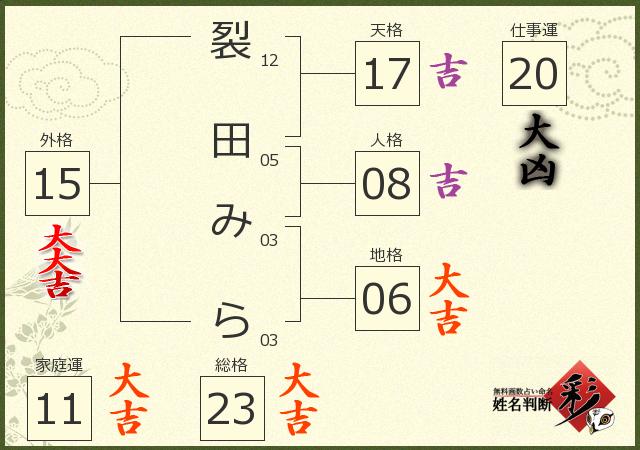 診断結果画像
