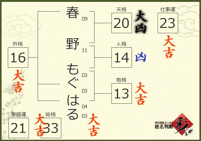 診断結果画像