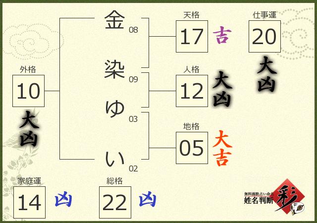 診断結果画像
