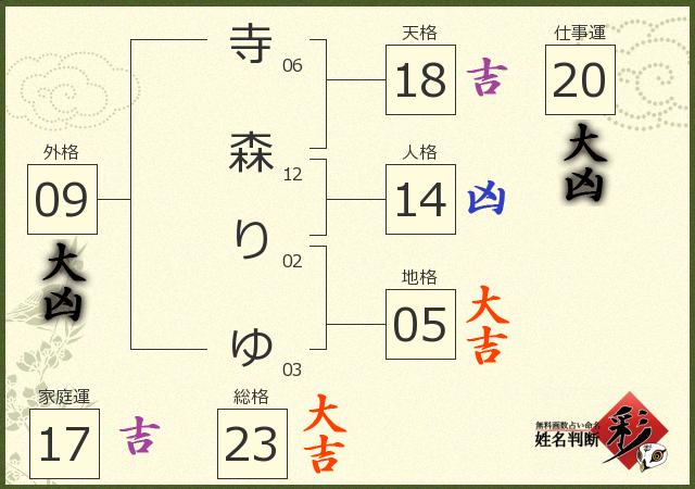 診断結果画像