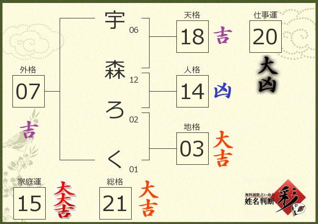 診断結果画像