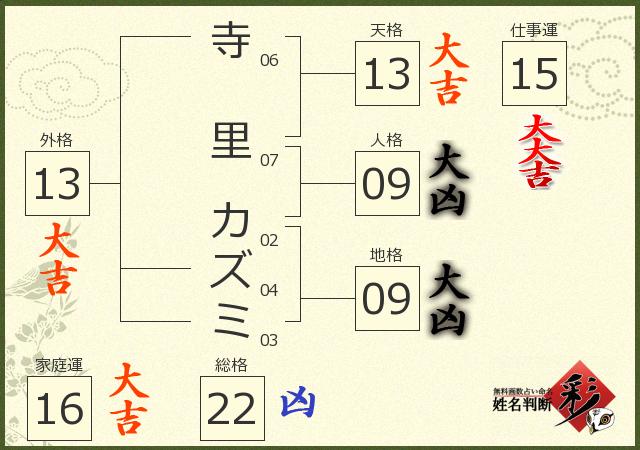 診断結果画像