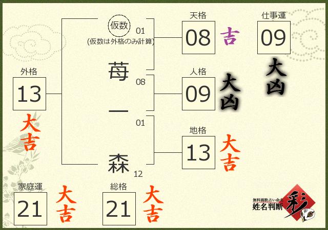 診断結果画像