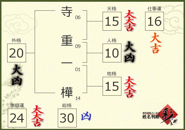 診断結果画像