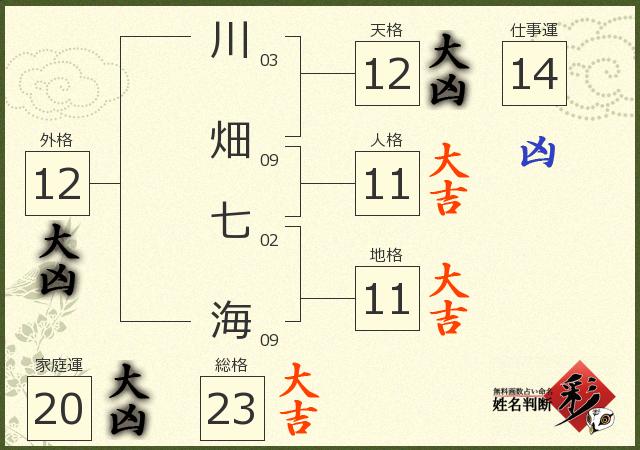 診断結果画像