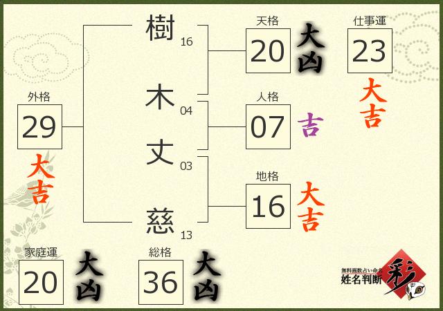 診断結果画像