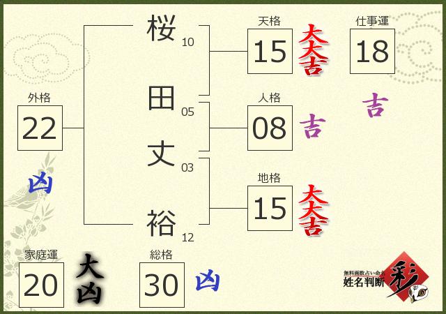 診断結果画像