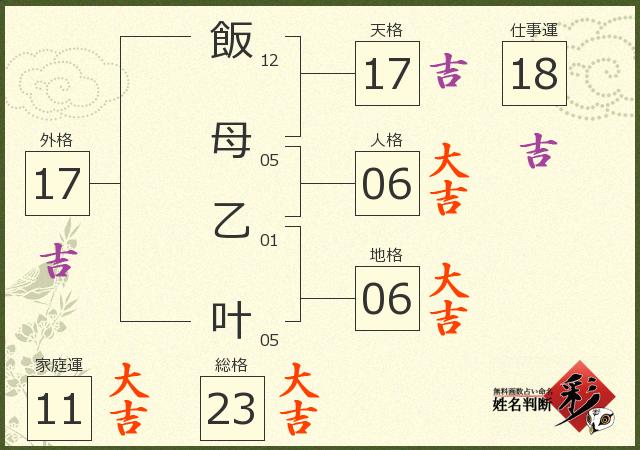 診断結果画像