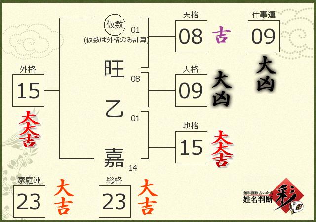 診断結果画像