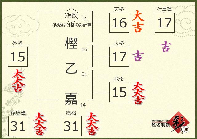 診断結果画像