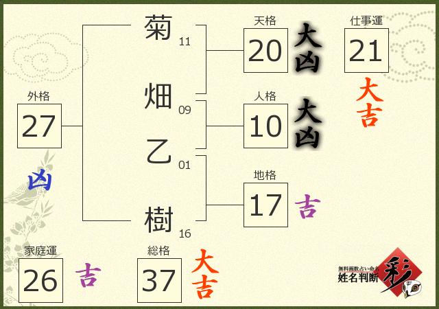 診断結果画像