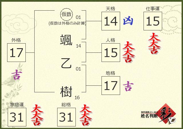 診断結果画像