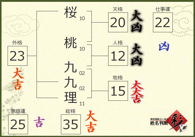 診断結果画像