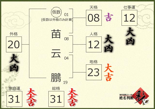 診断結果画像
