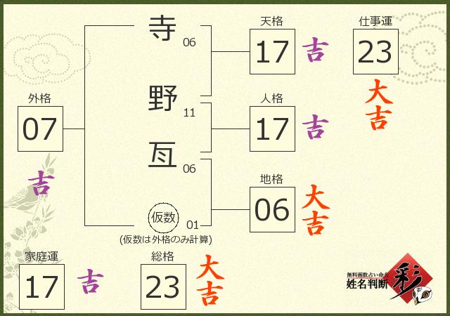 診断結果画像
